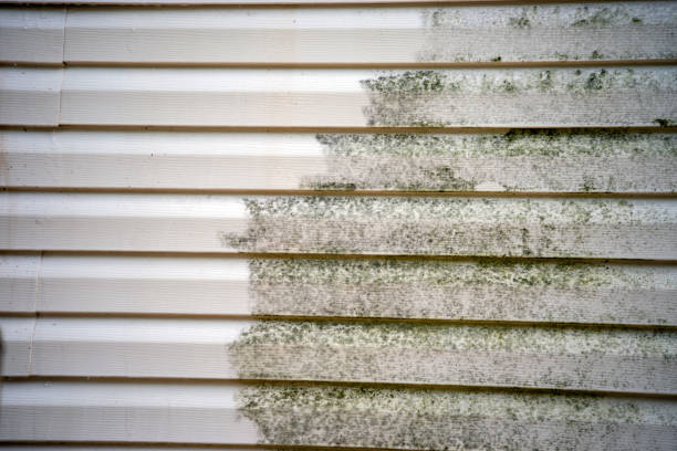 Best Moving and Downsizing Cleanouts  in Zilwaukee, MI